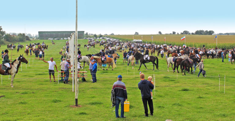 Landesringreiten in Wittbek
