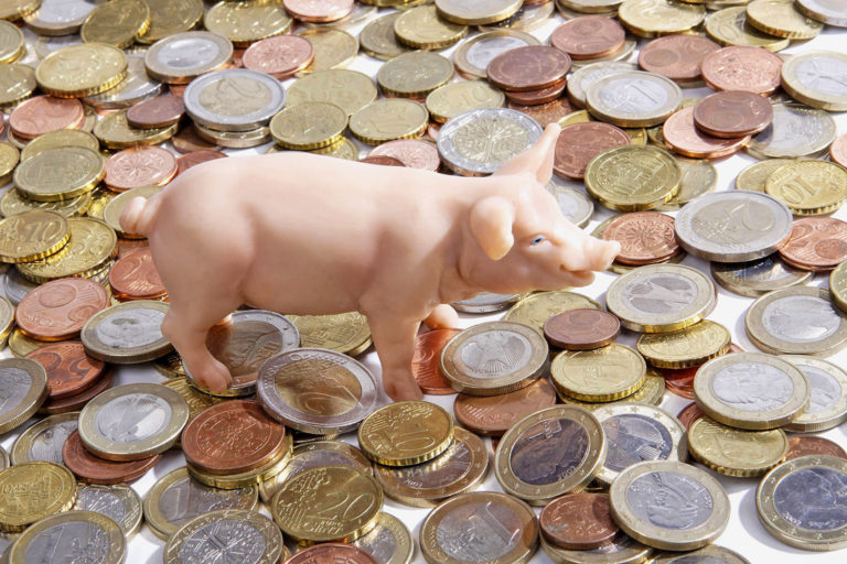 Preisdruck im Schweinehandel