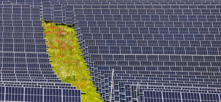 Photovoltaikausbau soll erleichtert werden