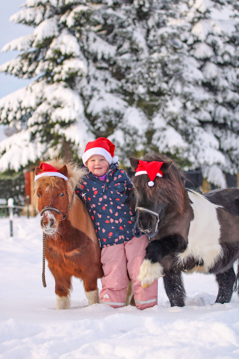 Frohe Weihnachten dem Pferdeland zwischen den Meeren