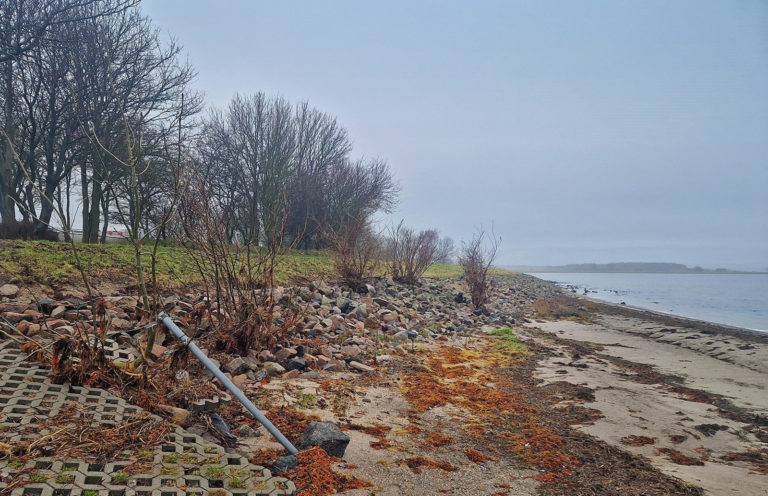 Tiefe Wurzeln lassen Wasser eindringen