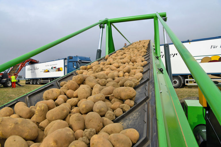 Produktionswert der Landwirtschaft ist stabil