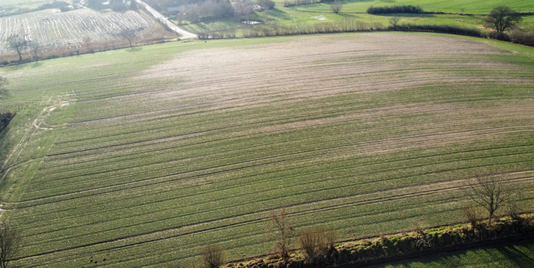 Folgen der Nässe in Herbst und Winter
