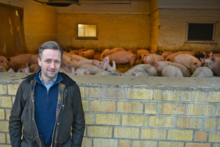 „Wir lieben das Schwein“