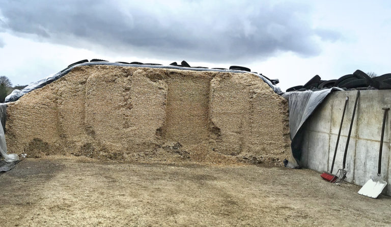Was passiert im Silo?
