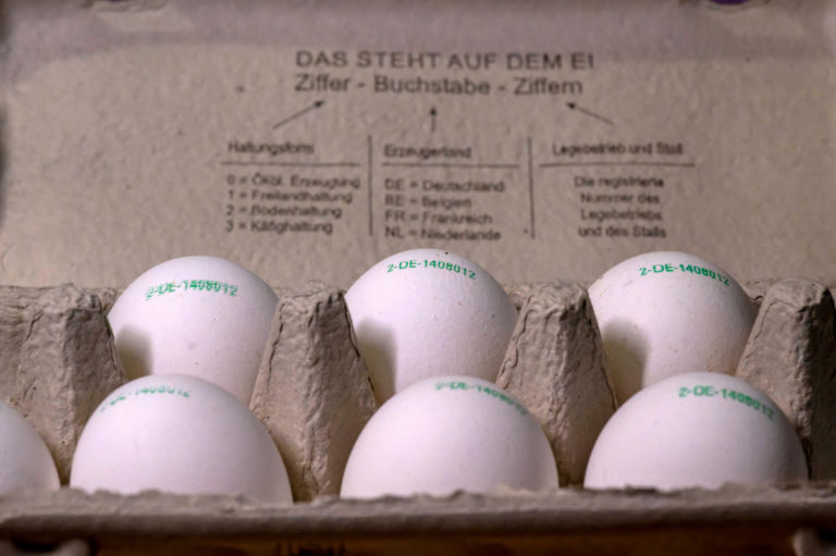 Mehr Eier in Deutschland verzehrt