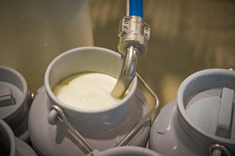 Wie entwickelt sich der Milchpreis?