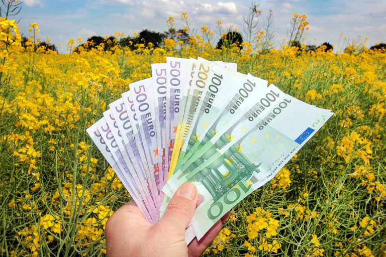 Pachtpreise steigen weiter