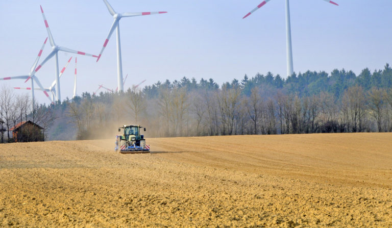 Aussetzung der Stilllegungspflicht zu spät für Getreide