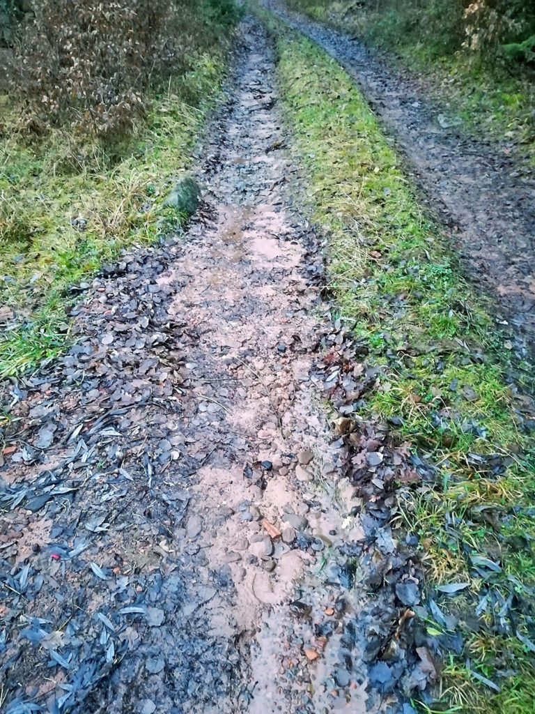Tipps für Fachleute und Ehrenamtler