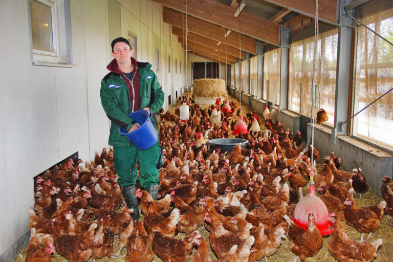 „Bio soll Kreislaufwirtschaft sein“