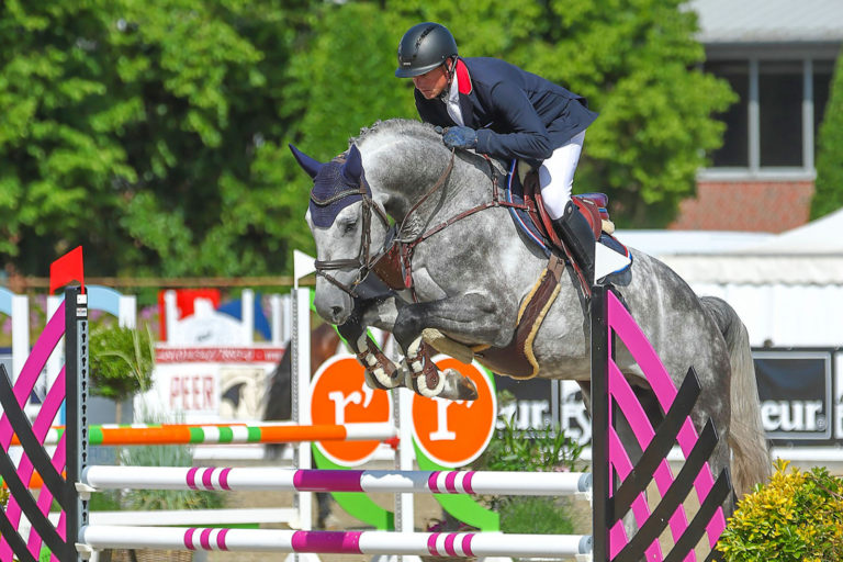 Springstars aus Holstein