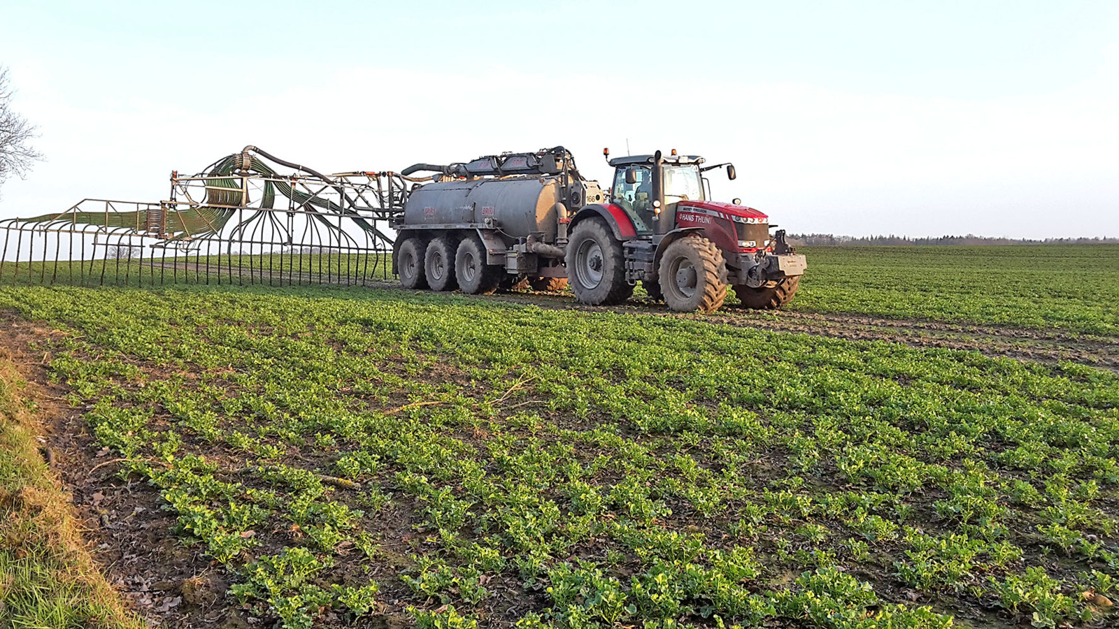 Düngeverordnung aktuell - Bauernblatt Schleswig-Holstein