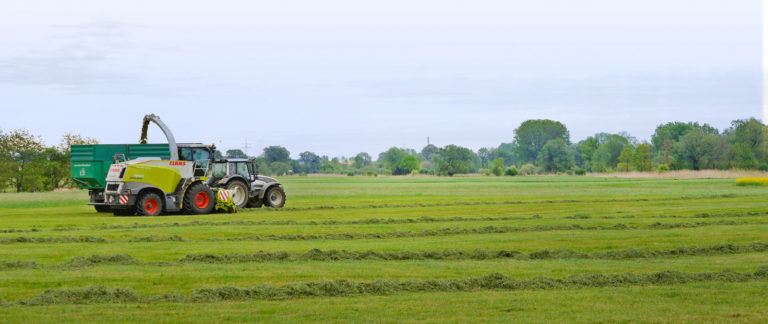 Aktuelle Kosten der Milchproduktion und Grassilage