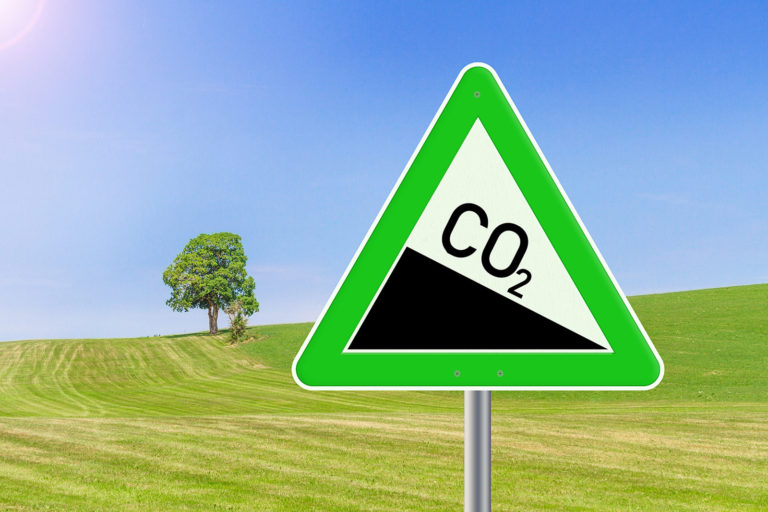 Rukwied: Landwirte leben Klimaschutz