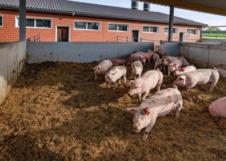 CDU/CSU: Bekenntnis zu Landwirtschaft und ländlichem Raum
