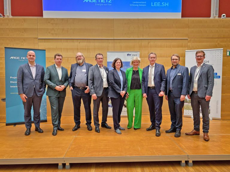 Die Wahl als Richtungsentscheid zur Energiewende