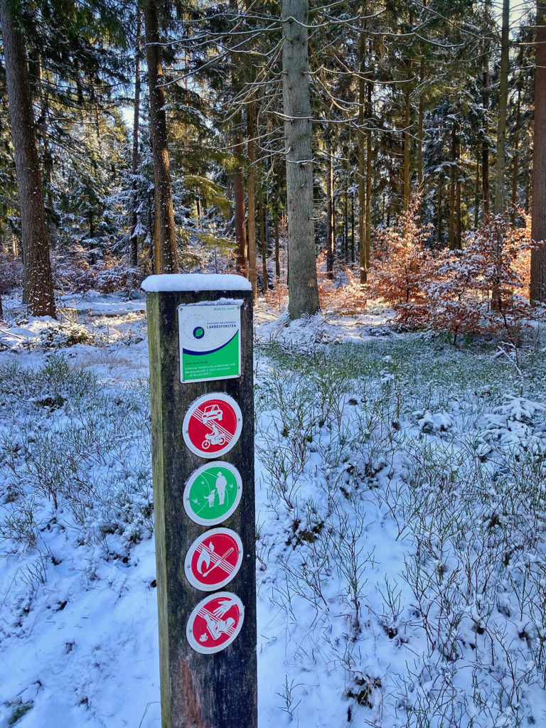 Landesforsten erhalten wieder „Grünen TÜV“