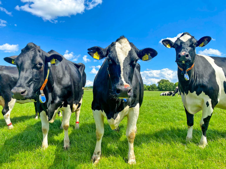 Dem Landwirt darf der Spaß nicht genommen werden!