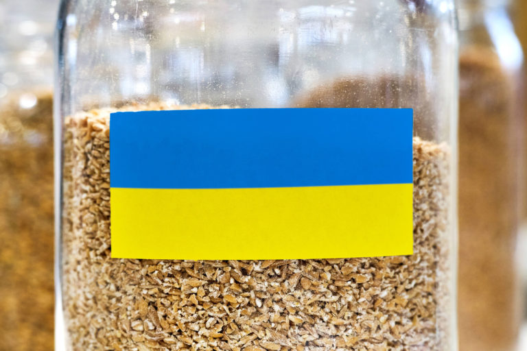 Ende der zollfreien Agrarimporte aus der Ukraine?