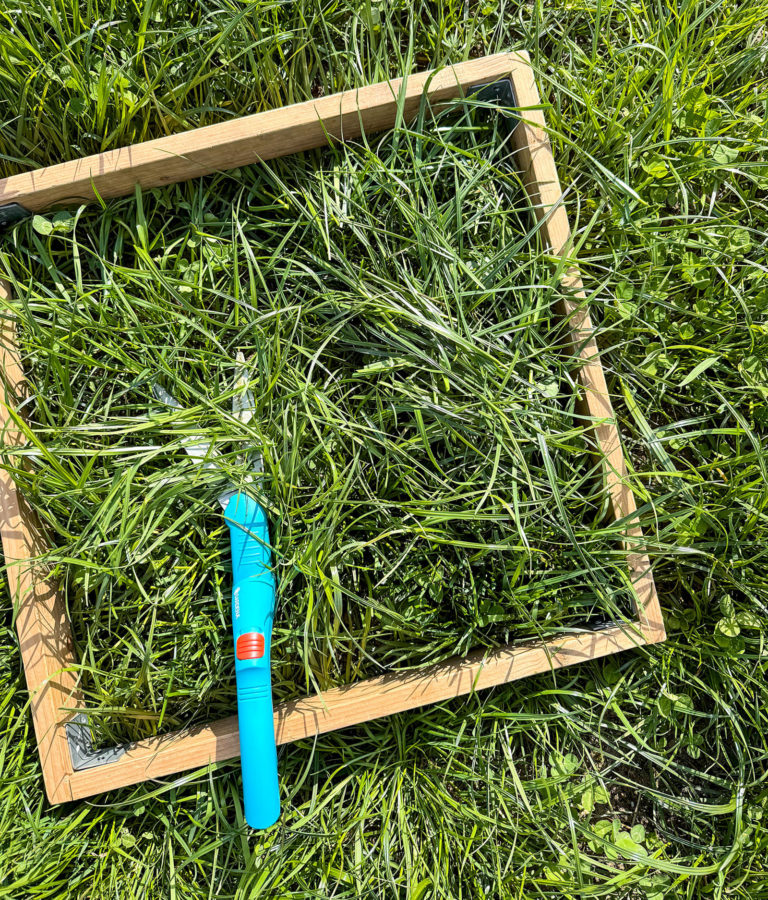 Beprobung der Ackergrasbestände hat begonnen
