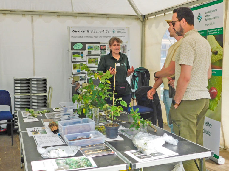 Am 17. und 18. Mai ist Flora in Rendsburg