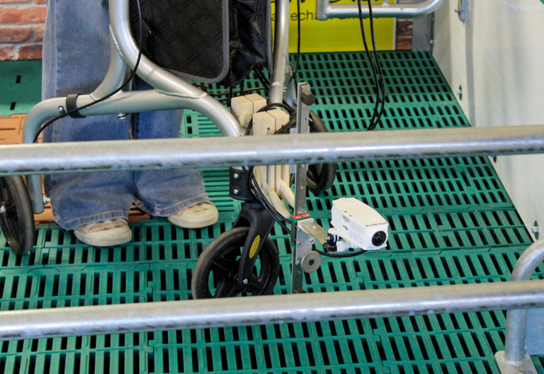 Sinneswahrnehmung in der Tierwelt