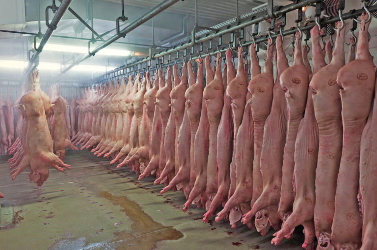 Schweinefleisch trotzt dem Trend