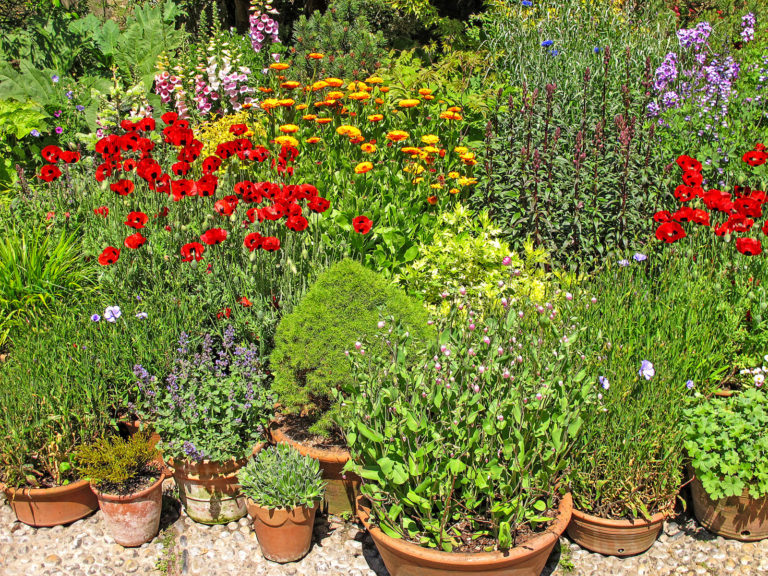 Mobiler Garten im Kleinformat