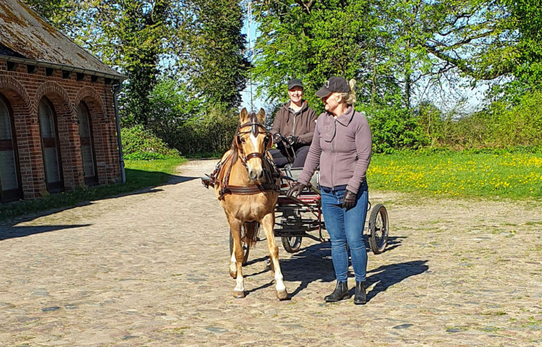 Bothkamp: Mit Pferd und Wagen durch die Natur