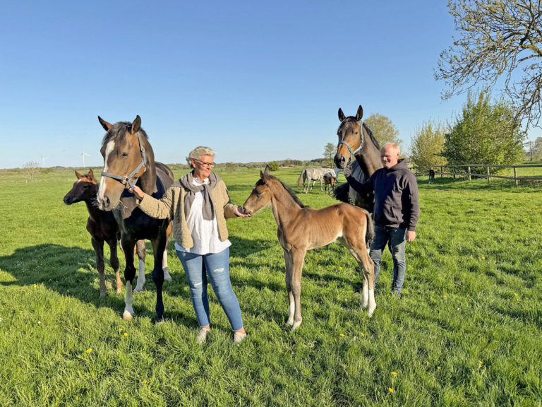Züchter im Porträt: Familie Ritters aus Krumstedt