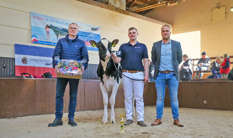 Jungzüchterschau in Süderbrarup