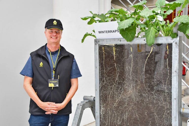 Ertragspotenzial liegt bei neun Tonnen pro Hektar