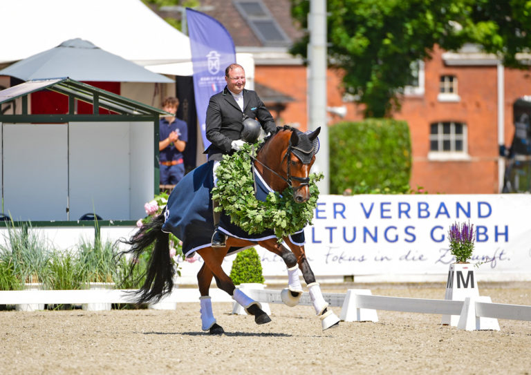 Holsteiner Pferdetage in Elmshorn