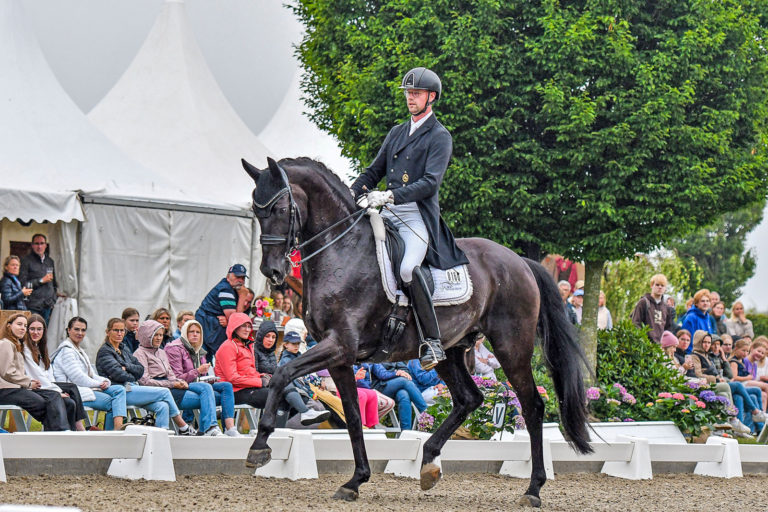 Dressurfestival Hof Norwegen in Mohrkirch