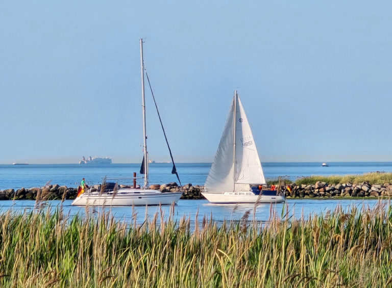 Spannende Entdeckertour am Meer