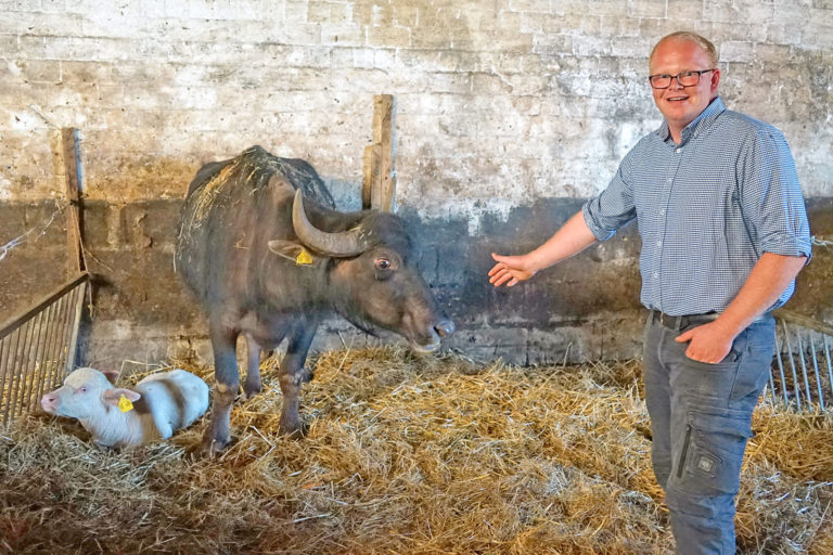Schwarz und Schwarz macht Weiß