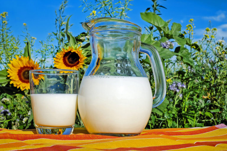 Milchauszahlungspreise weiterhin stabil