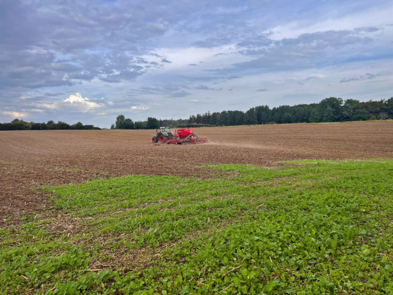 Herbstdüngung und Sperrfristen: Was gilt?