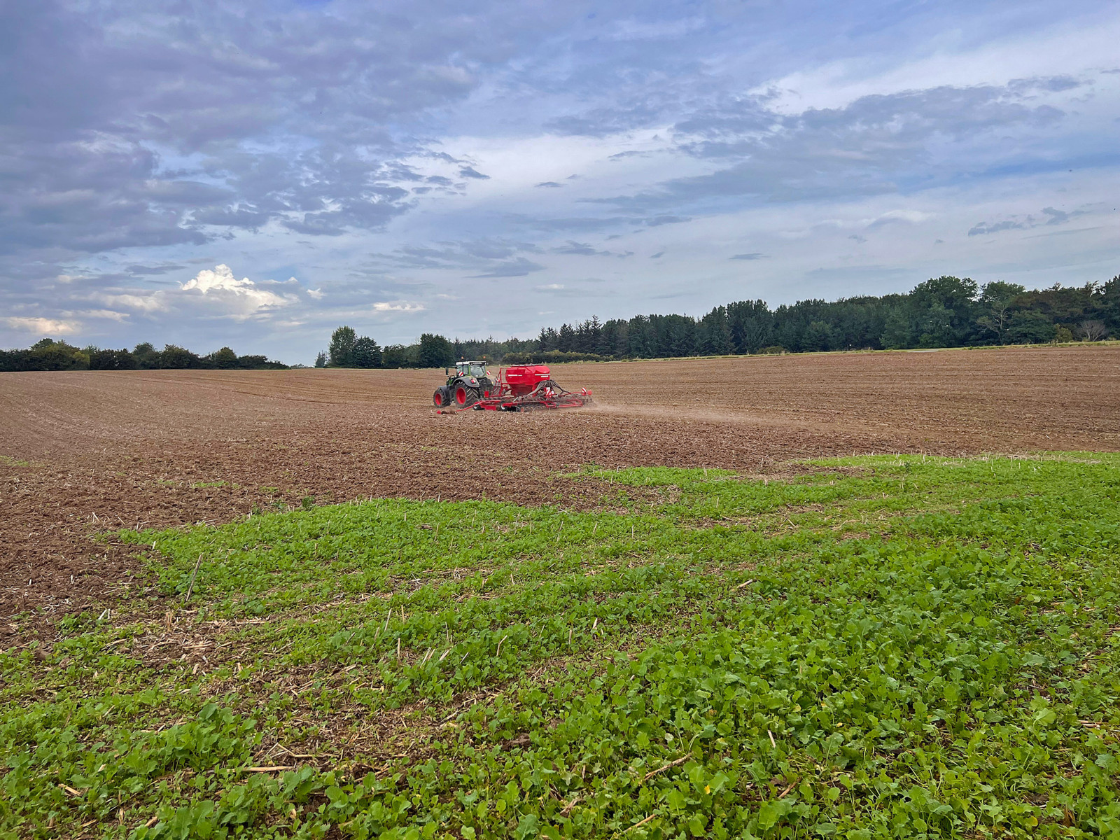 Herbstdngung und Sperrfristen: Was gilt? - Bauernblatt Schleswig-Holstein