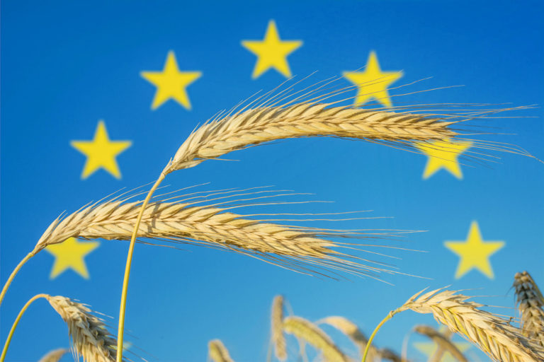 Agrarökonomen kritisieren Pläne der EU-Kommission