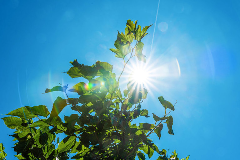 Schutz vor Hitze und Sonne