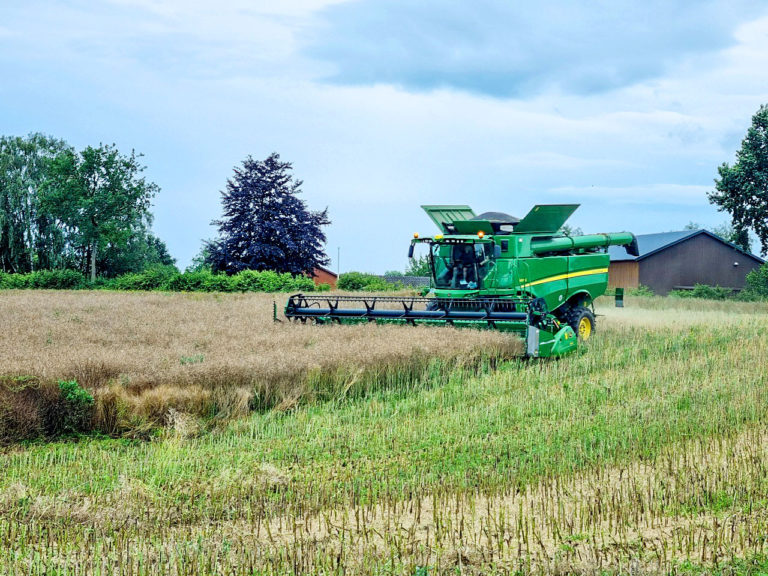 Schwierige Erntebedingungen in Schleswig-Holstein