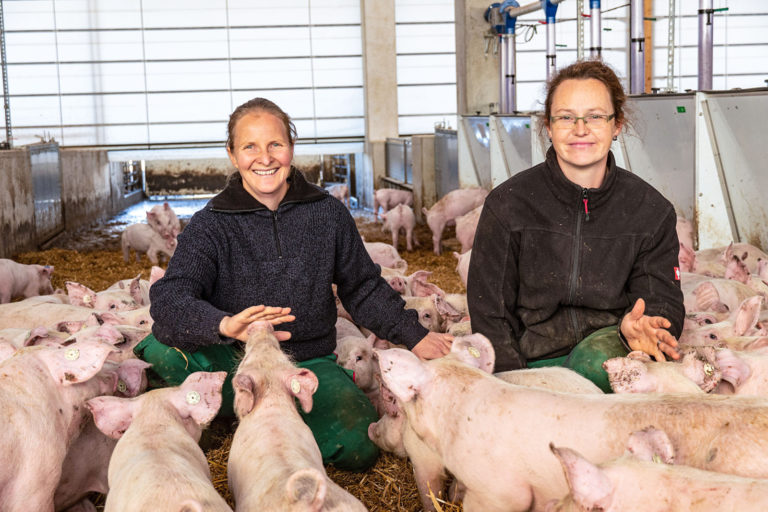 Wohlfühloase für Genießer-Schweine