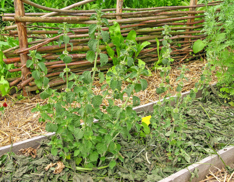 Schützende Decke für den Gartenboden