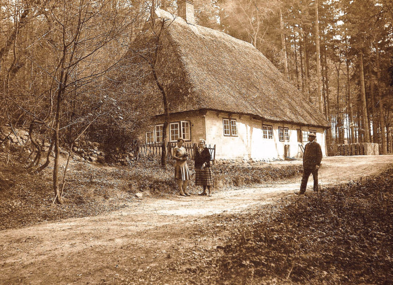 Holzvögte – Hegereiter – Oberförster