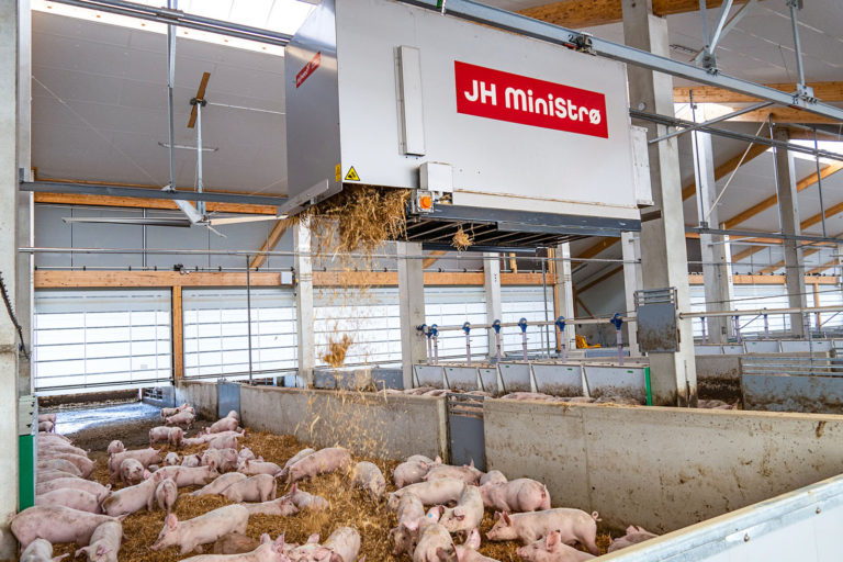 Wohlfühloase für Genießer-Schweine