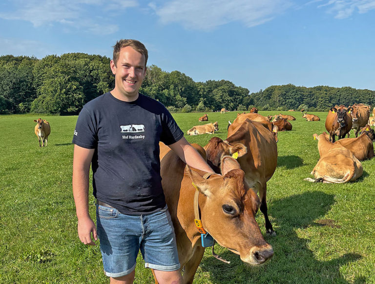 Mit Mut und Jerseys gegen den Trend
