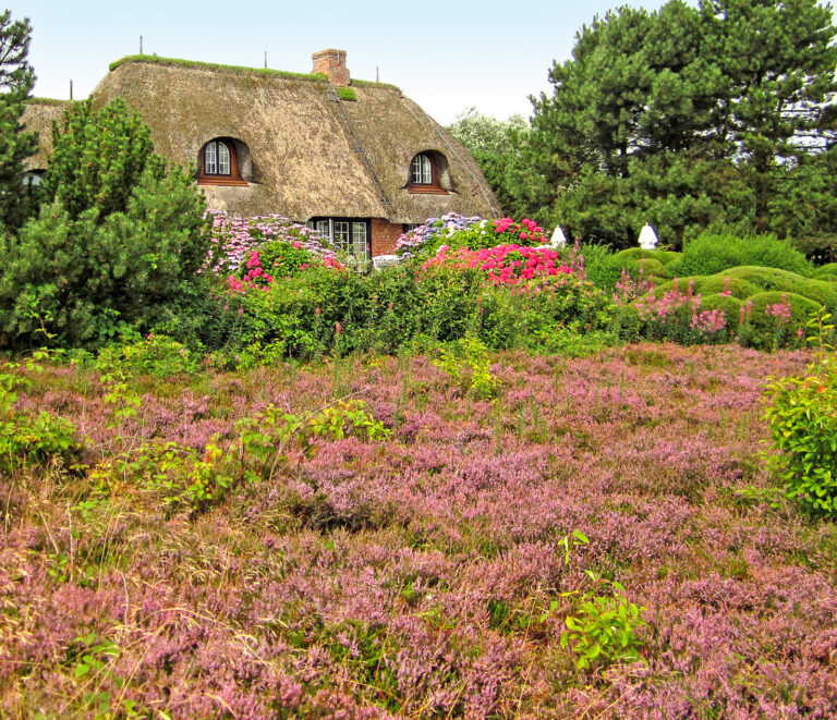 Heidegarten abwechslungsreich planen