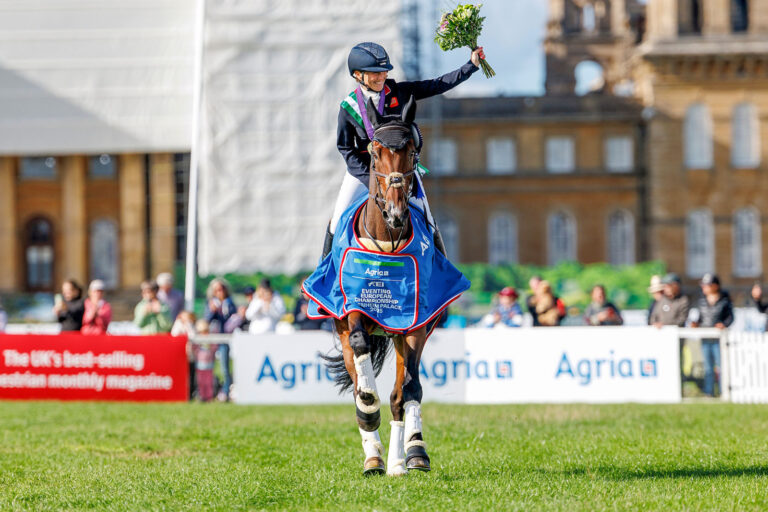 Ranking WBFSH: Holstein erneut an der Spitze